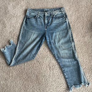 Wild Fable jeans with zipper detail & frayed hem